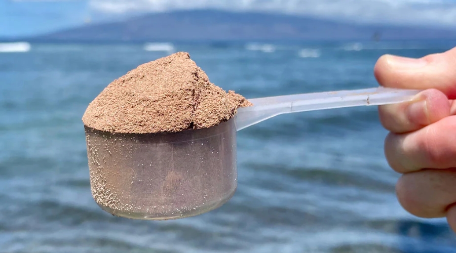 Die 7 besten Arten von Proteinpulvern erklärt